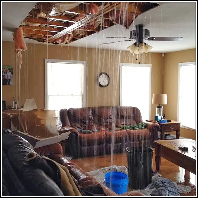 Water Damage Restoration services in Diboll, TX