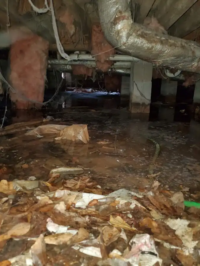 Crawl space flood assessment for Leak Detection & Repair in Diboll