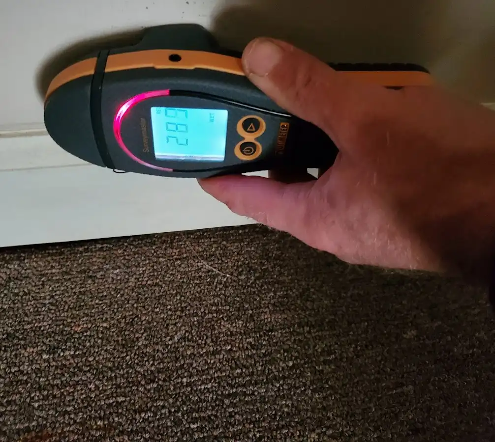 Moisture detection at baseboard during Mold Inspection & Testing in Diboll
